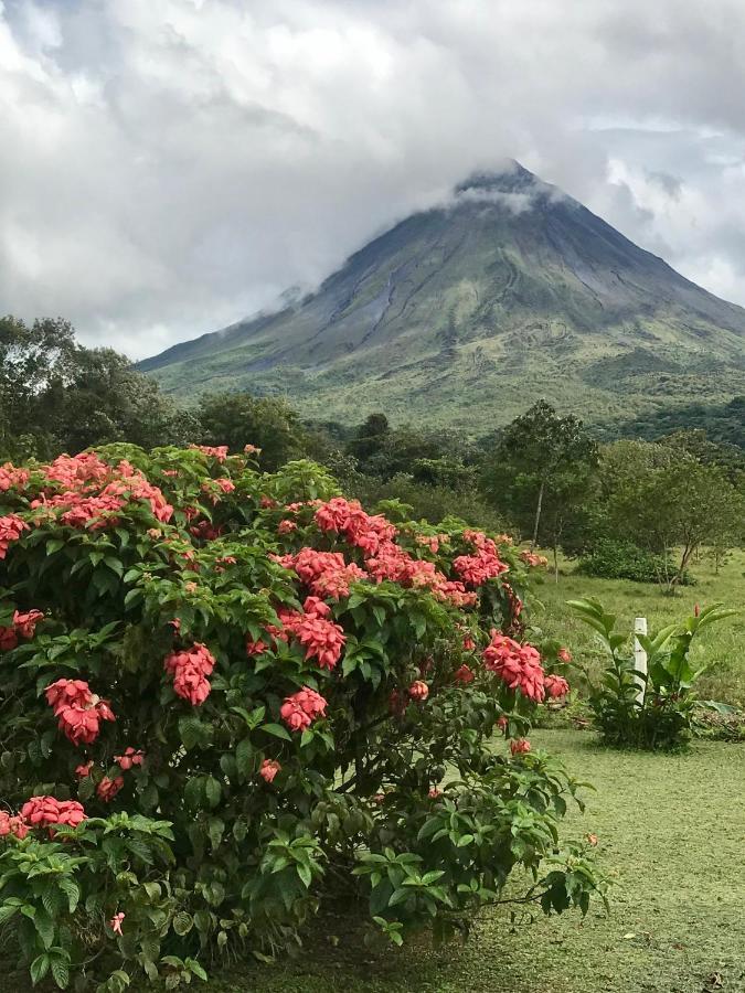 Arenal Roca Suites La Fortuna Zewnętrze zdjęcie