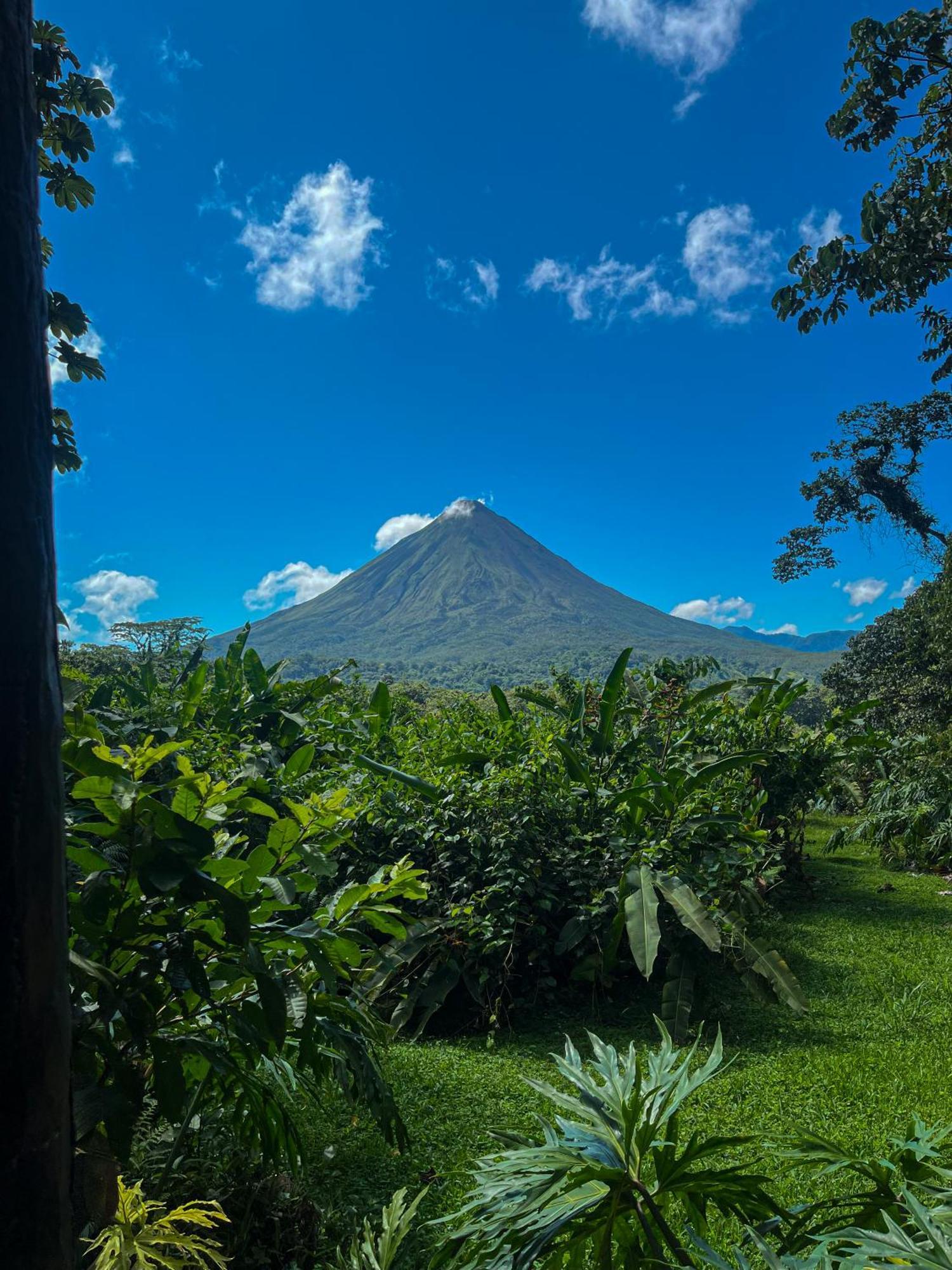 Arenal Roca Suites La Fortuna Zewnętrze zdjęcie
