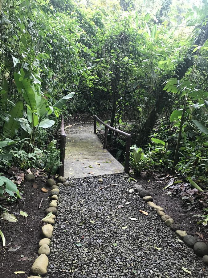 Arenal Roca Suites La Fortuna Zewnętrze zdjęcie